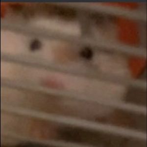 Meet your Posher, Evan